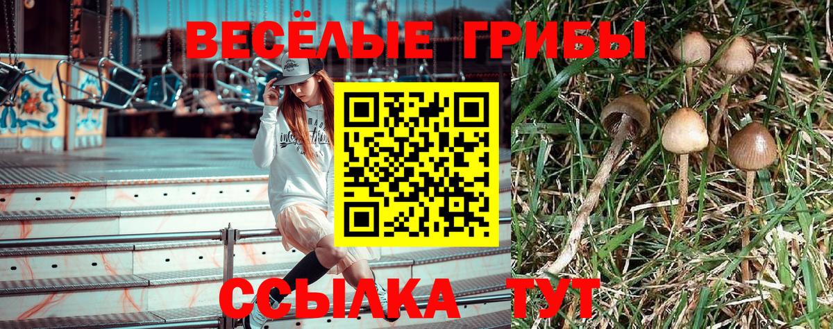 магазин продажи наркотиков  Вход с VPN  Александров  Псилоцибиновые грибы Magic Shrooms  Галлюциногенные грибы прущие грибы 