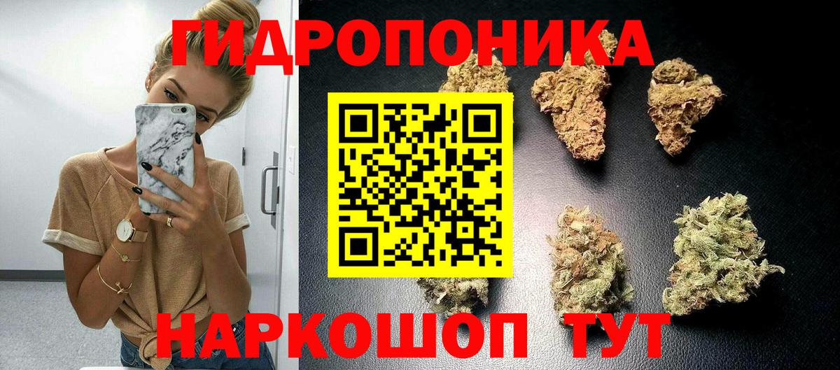 Шишки марихуана OG Kush Александров